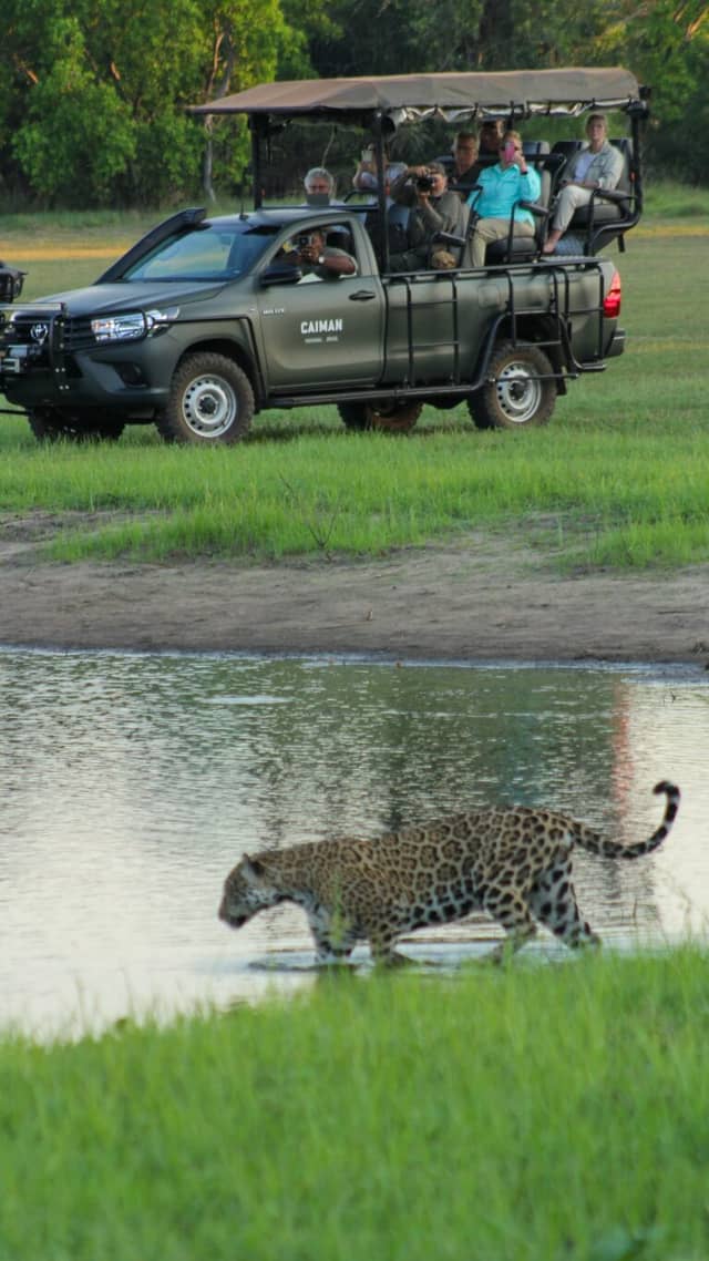 Pantanal