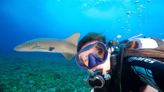 A scuba diver in a blue mask comes face to face with a reef shark gliding just behind them over a algae-covered seafloor during scuba diving in Brazil