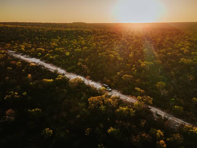 Aerial view of two vehicles on a sandy dirt road cutting through dense Cerrado Brazil woodland at golden sunset