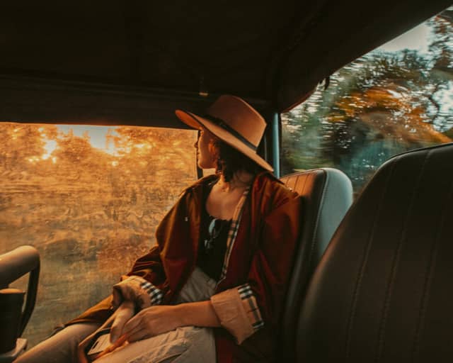 10 Pantanal Travel Tips for an Unforgettable Trip