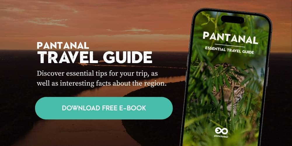 Free Pantanal travel guide ebook
