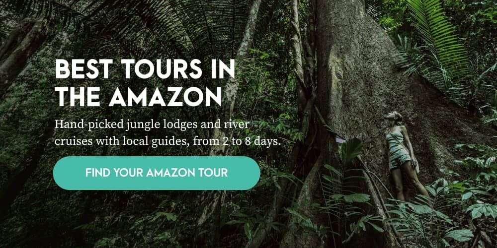 Best tours in the Amazon: hand-picked jungle lodges and river cruises