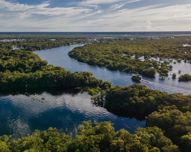 Best Amazon River Cruises in Brazil