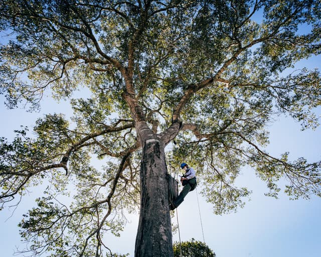 5 Pantanal Conservation Projects Making a Real Impact