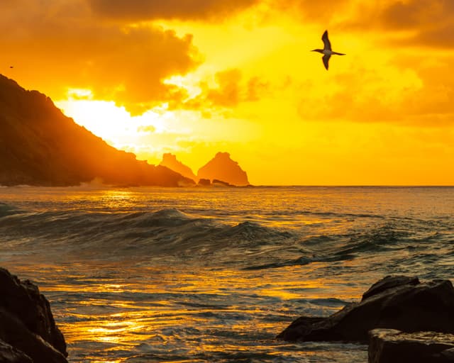 10 Luxury Ecolodges in Brazil: Sustainable Tourism and Premium Services