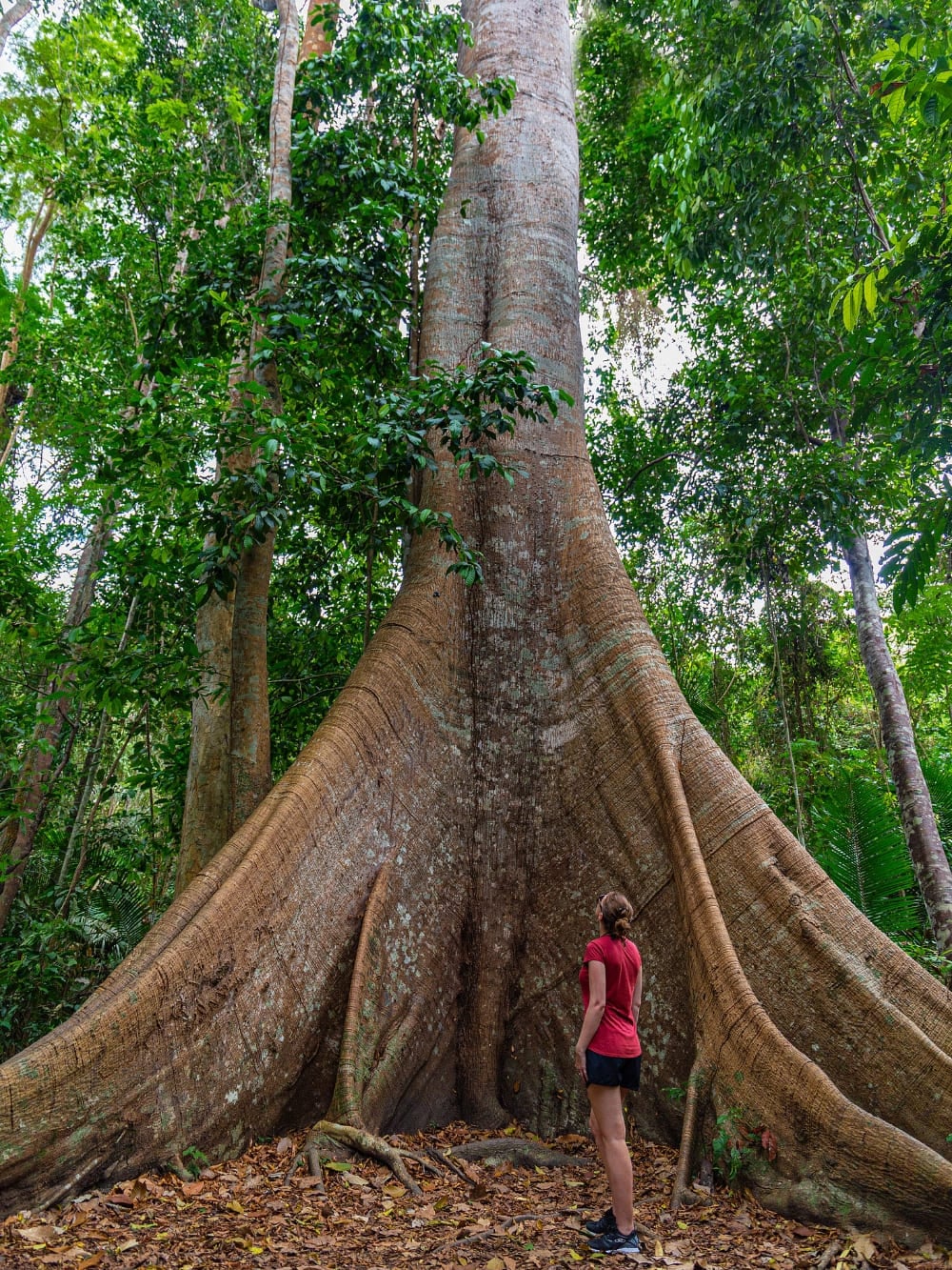 Ecotourism Travel consciously
