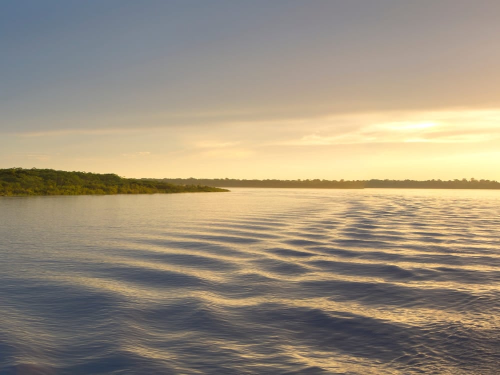 Photo taken from inside the Amazon River with the sun shining on the water.