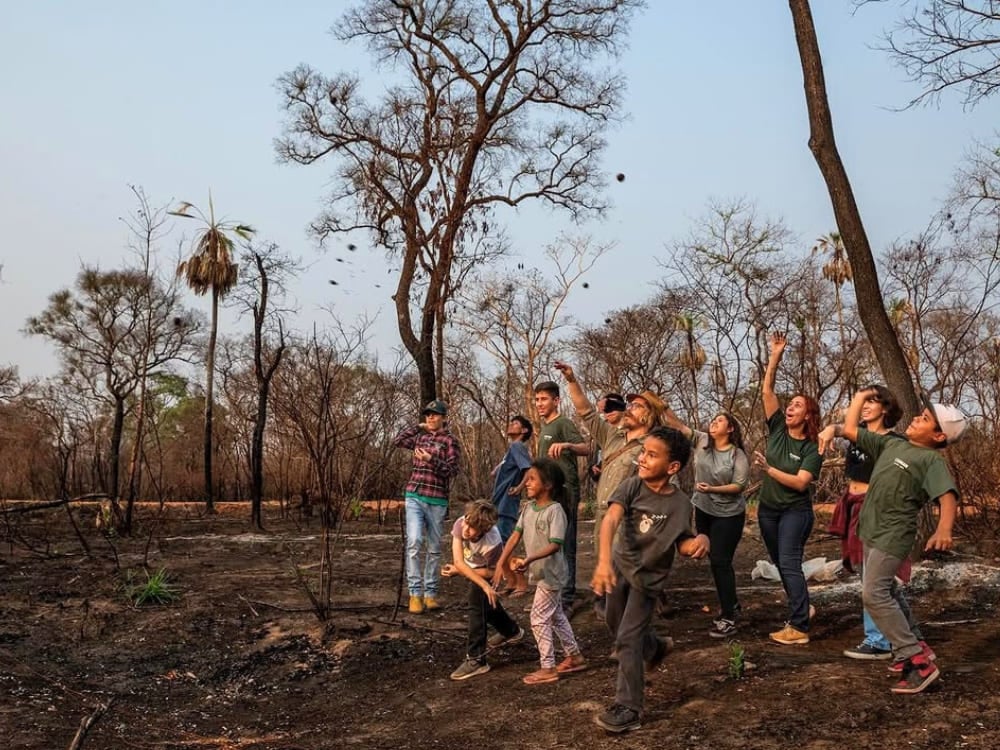 Sustainable tourism in the Pantanal