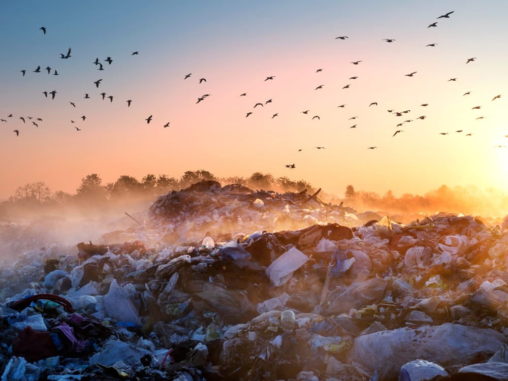 Ways to reduce plastic