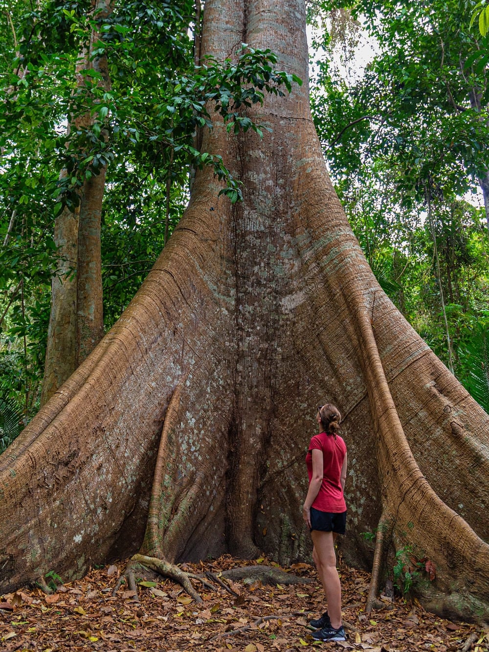 Tourism at COP30 Brazil