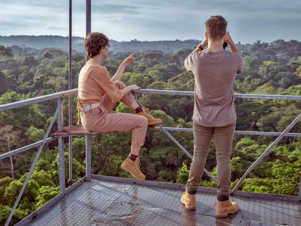 Birdwatching Amazon Rainforest