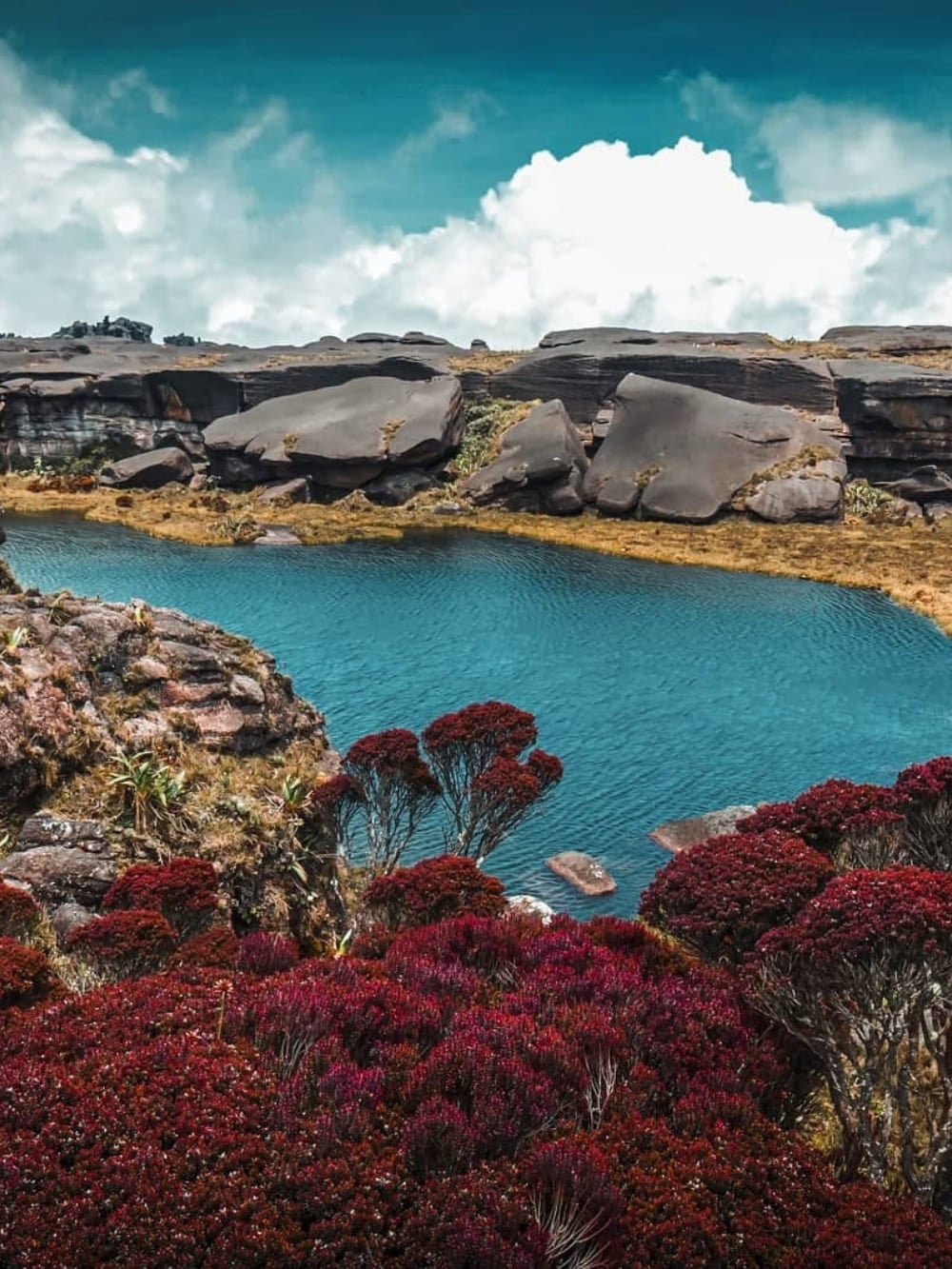 What's on top of Mount Roraima