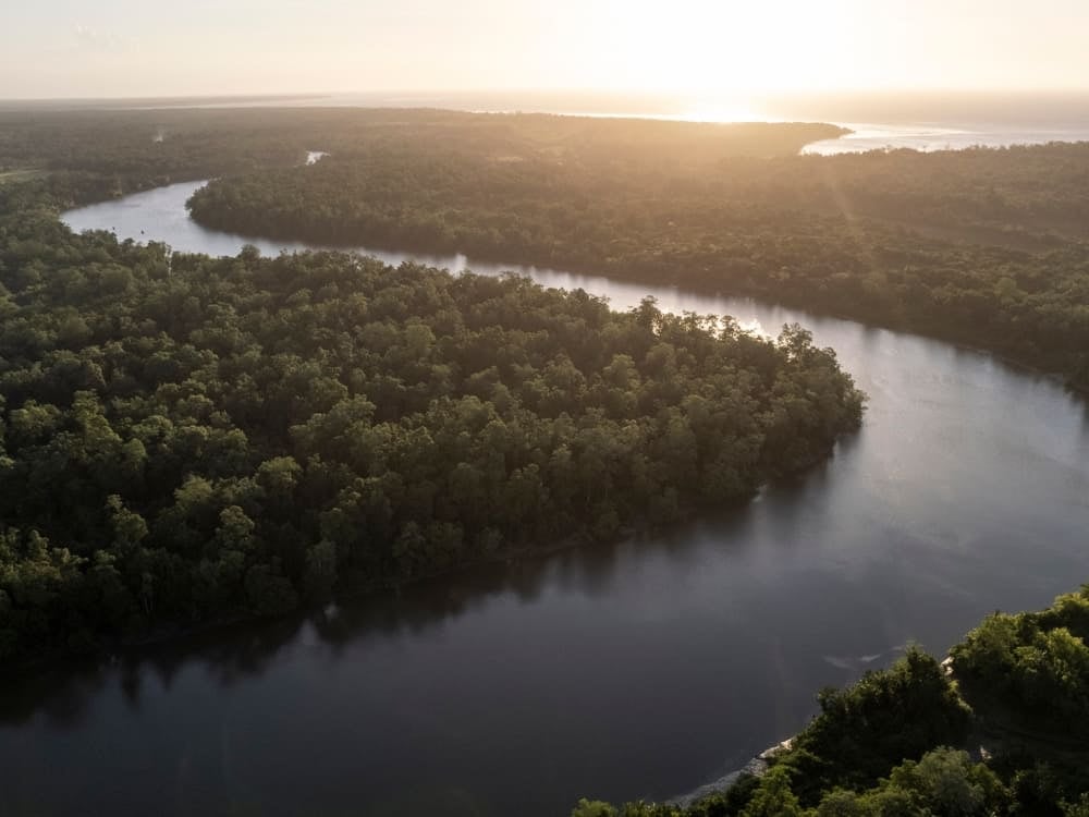Aerial view of the Amazon River winding through the dense rainforest in Brazil during a golden sunrise.