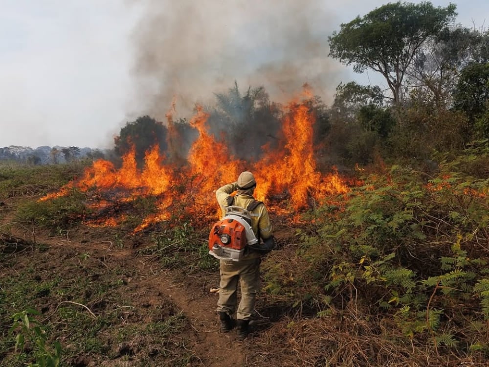 A firefighter equipped with a blower works to control flames during a vegetation fire in the Pantanal.