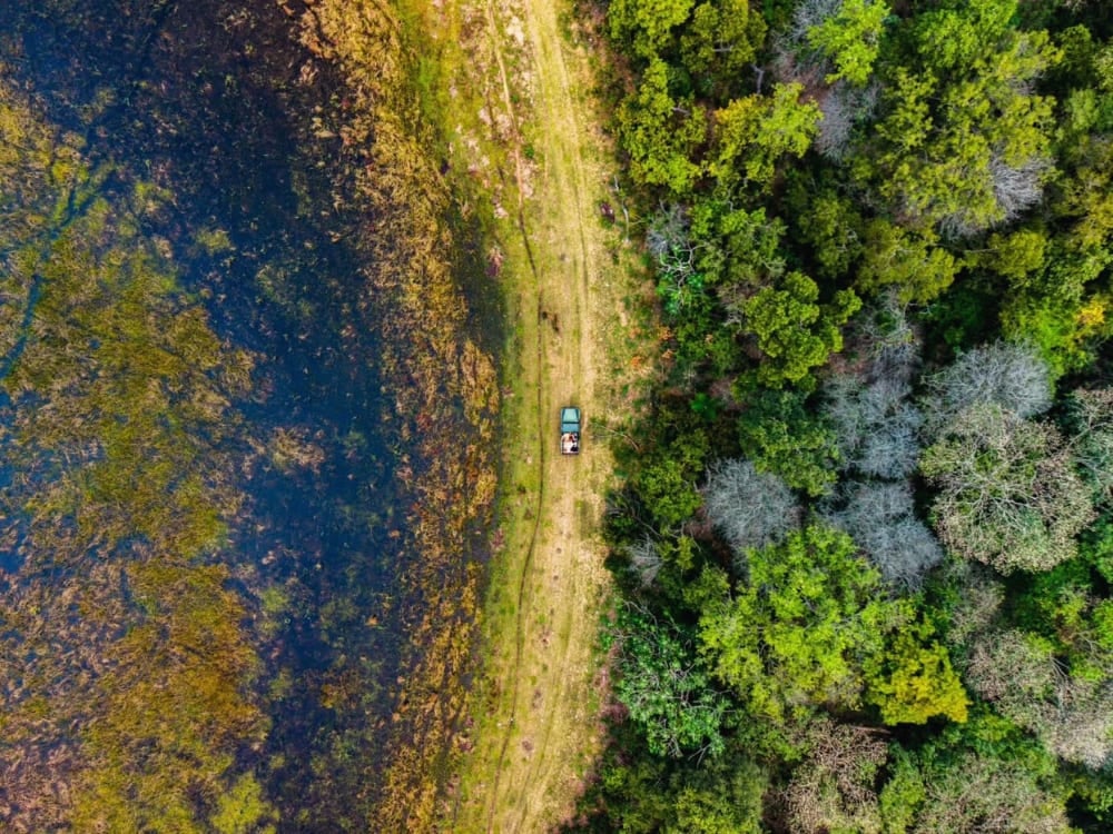 Aerial view of a safari vehicle driving on a dirt track between a wetland area and dense green forest in North Pantanal.