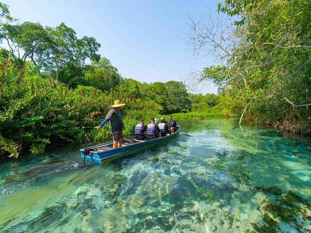 Group of tourists on a boat navigating the crystal-clear waters of a river surrounded by lush vegetation in Bonito.