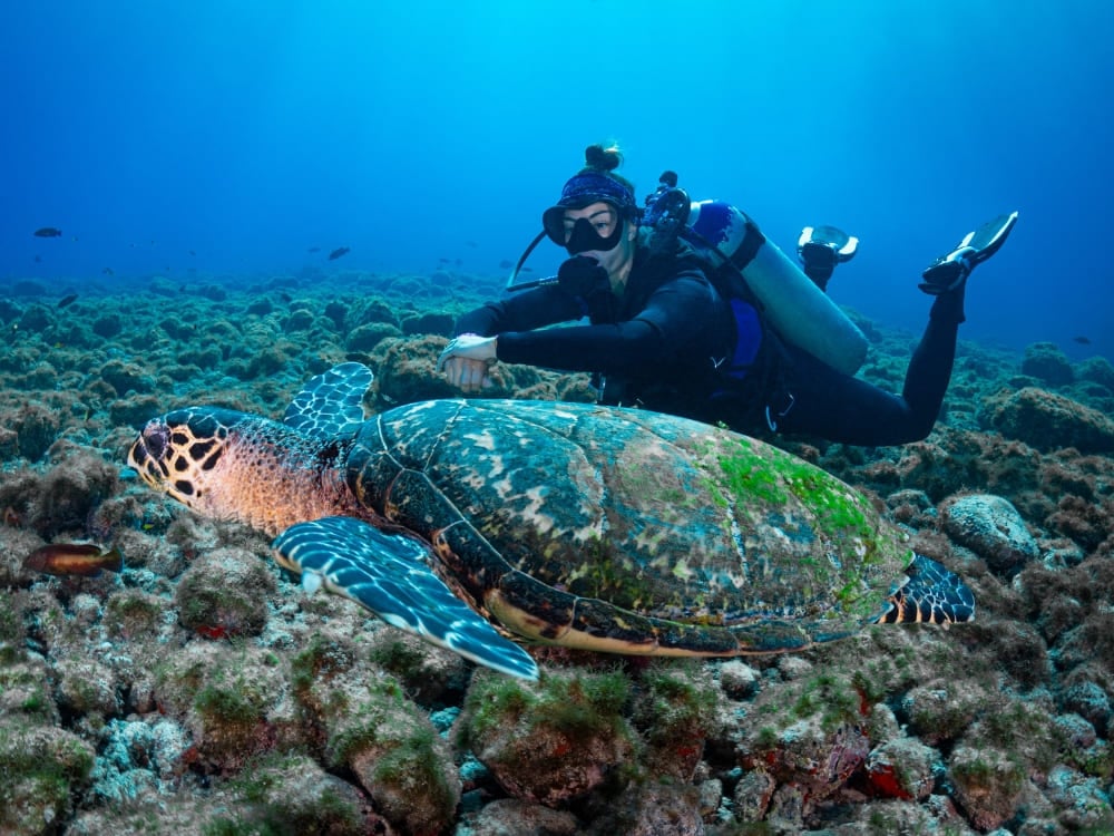 Fernando de Noronha