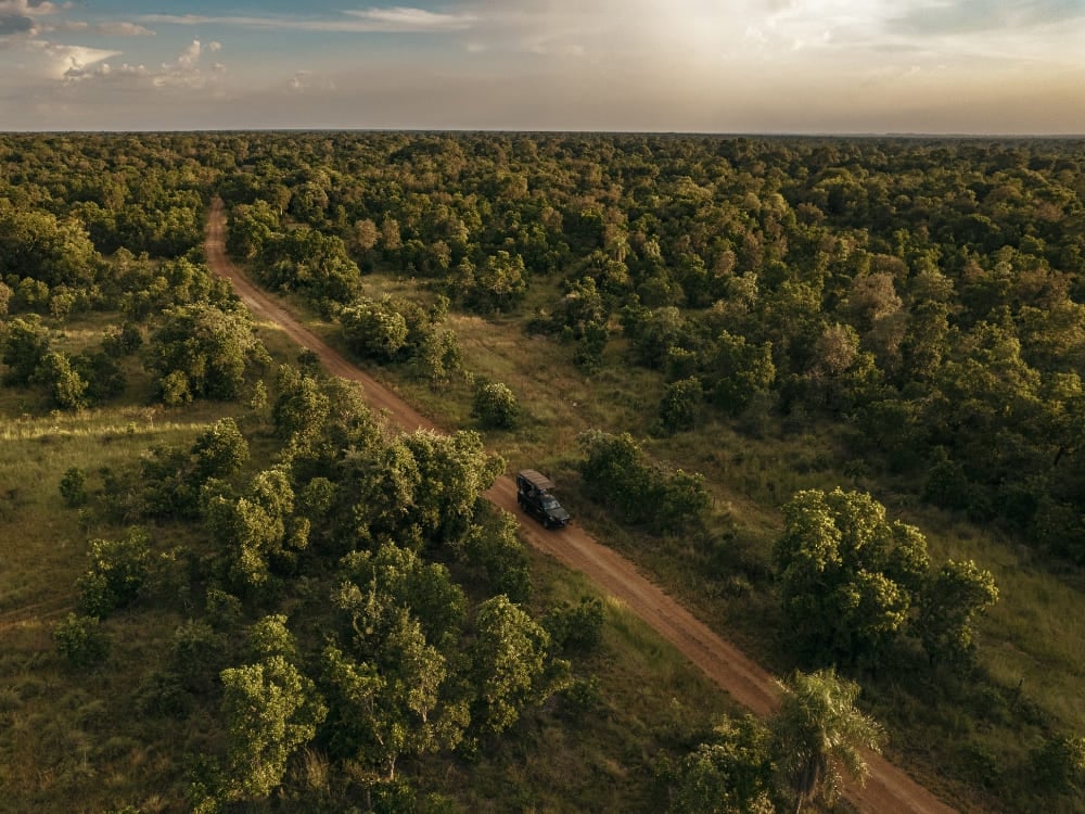 Aerial view of a 4x4 vehicle driving along a long dirt road surrounded by dense trees and vegetation.