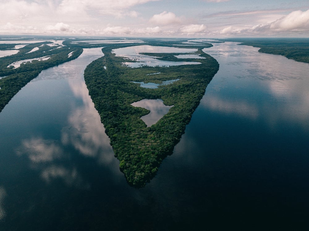 Breathtaking aerial view of a river fork and lush green islands in the Amazon basin, highlighting the region's vast hydrology and beauty.