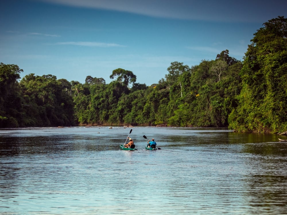 Travelers kayaking down a tranquil Amazon river, enjoying an eco-friendly way to observe the rainforest ecosystem up close.