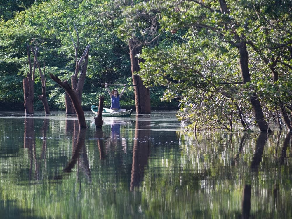 Canoe navigating through the flooded forest (igapó) during the wet season in the Amazon, surrounded by water-reflected trees.