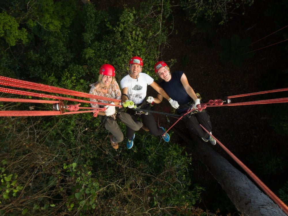 Adventurous tourists equipped with helmets participating in tree climbing and rappelling activities high up in the Amazon canopy.