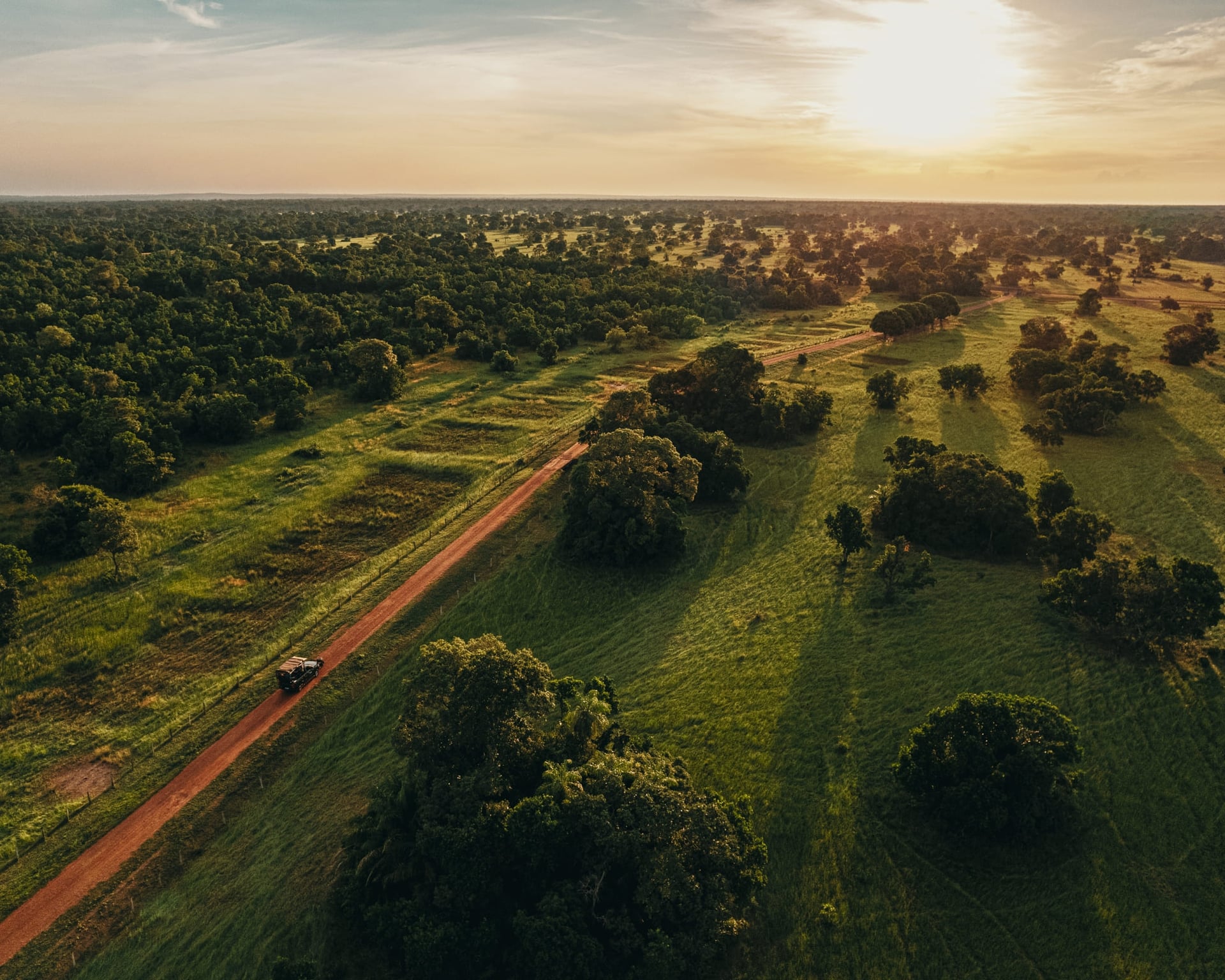 How to Get to the Pantanal, Brazil