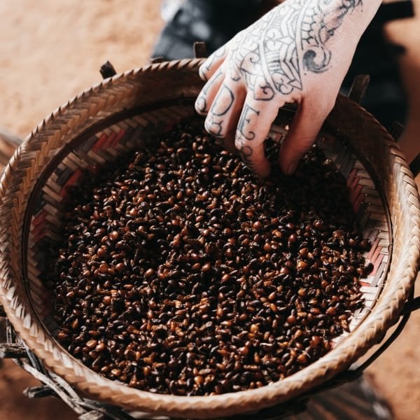 Hand reaching into a woven basket of roasted seeds at an Amazon riverside community