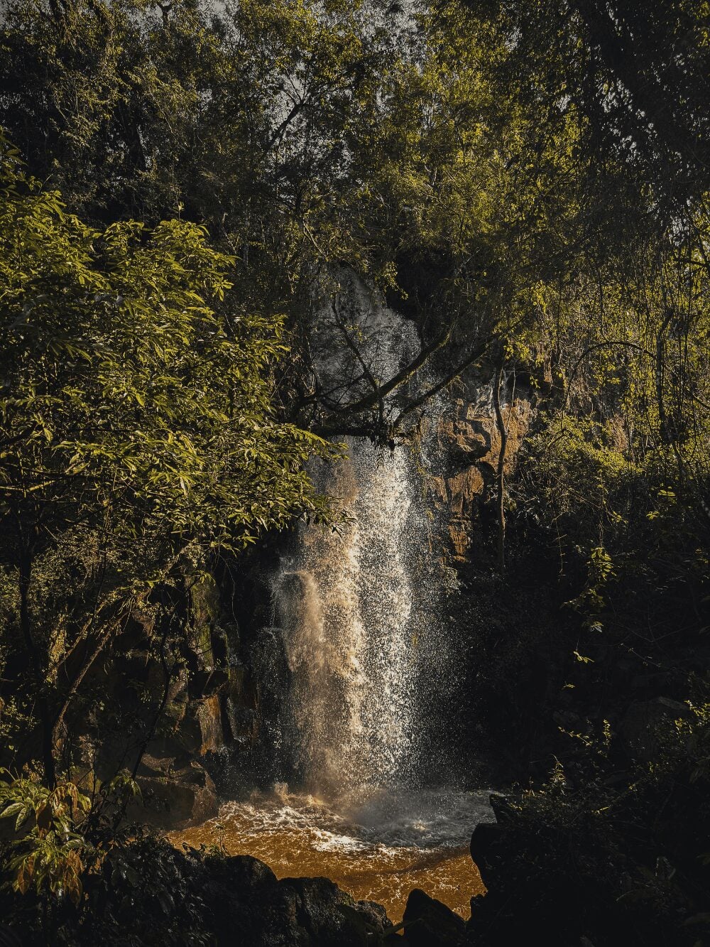 Waterfall half hidden by trees along a forest trail near Iguazu Falls