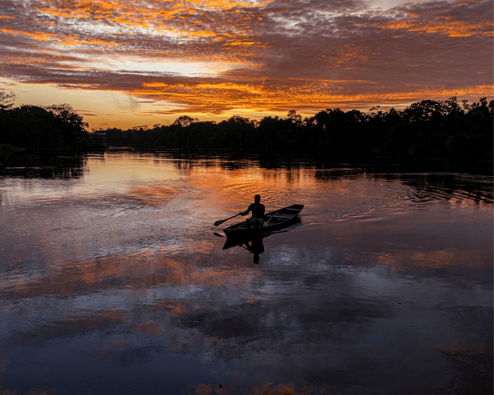 10 Tips to Make the Most of Your Amazon Tour From Manaus, Brazil