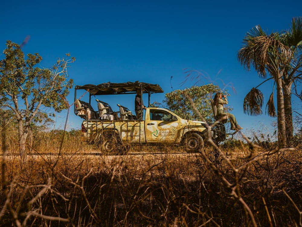 How to visit the Cerrado in Brazil? - Pousada Trijunção