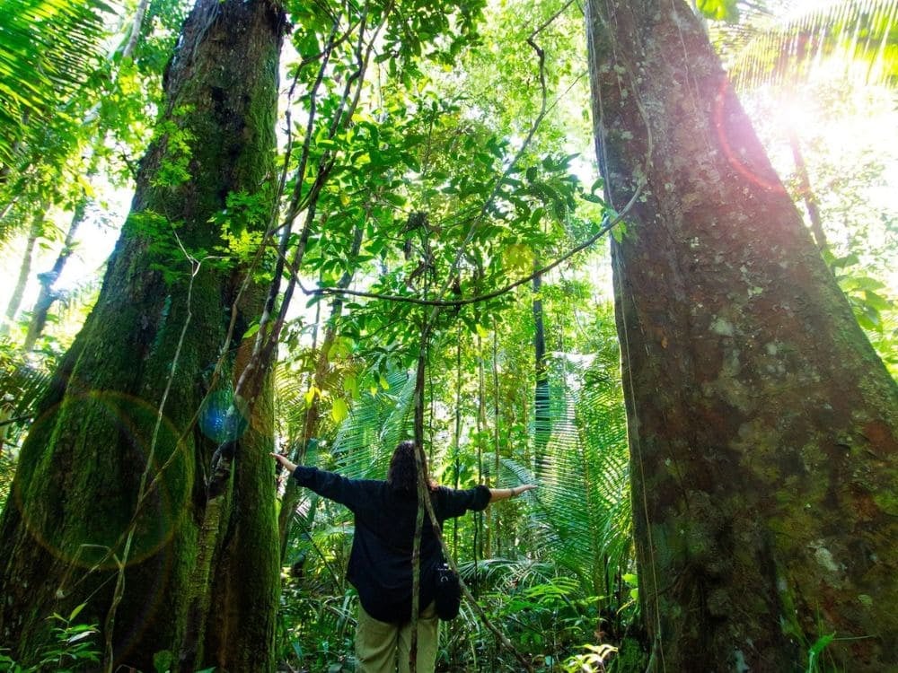 . What to do in Brazil during COP30