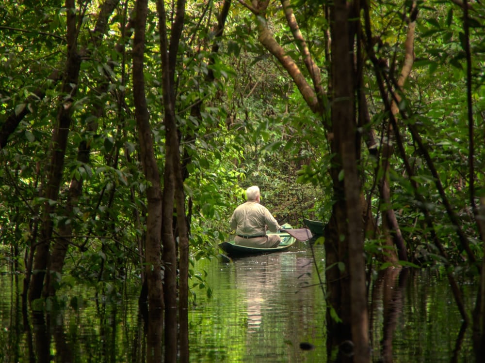 Photo: Johan What to do in Brazil during COP30