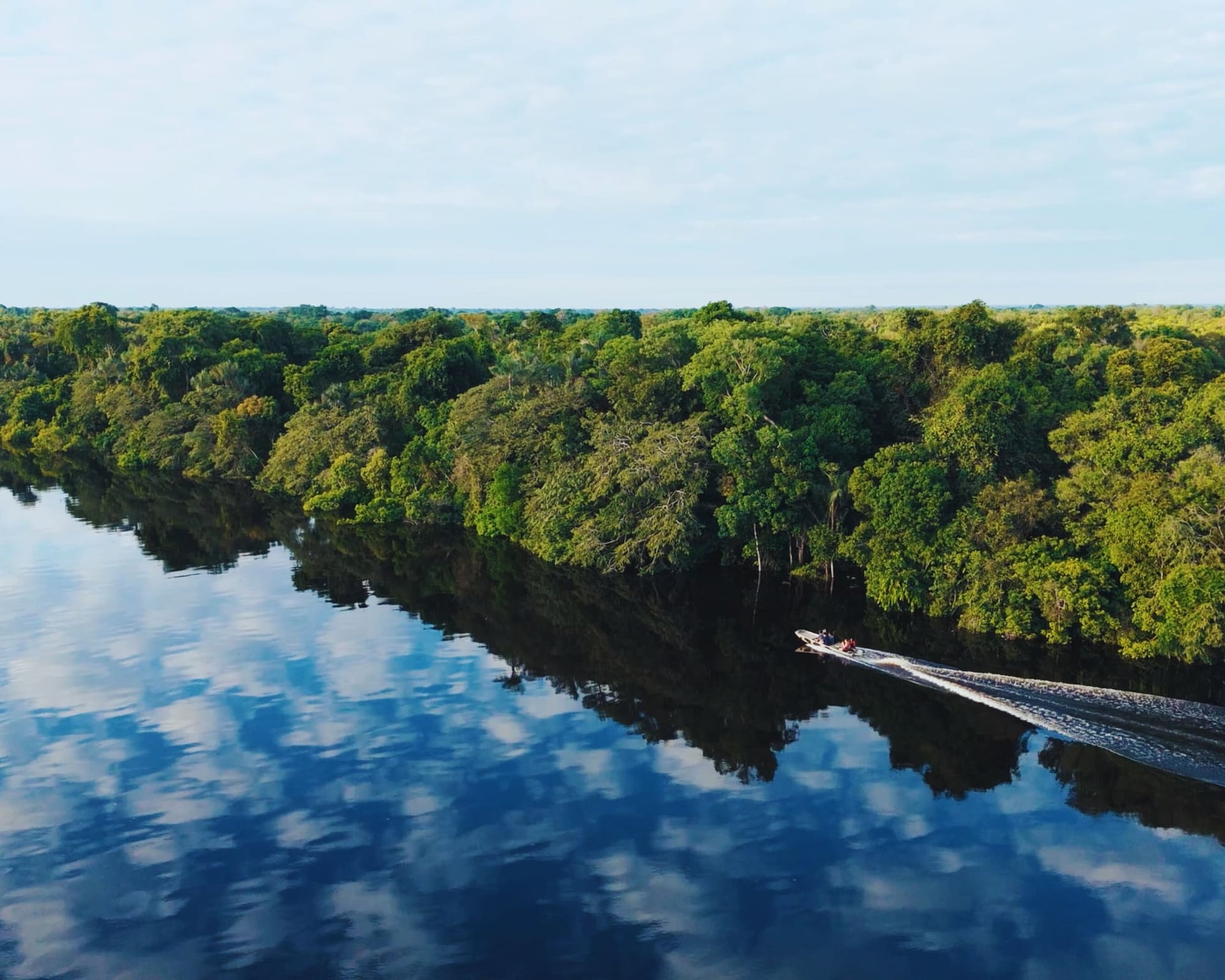 COP30: What to Do Beyond the Conference – Explore Brazil’s Nature COP30: What to Do Beyond the Conference – Explore Brazil’s Nature