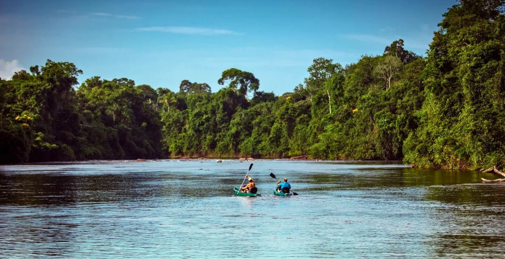 Cristalino Jungle Lodge: Your Gateway to the Amazon Sanctuary Cristalino Jungle Lodge: Your Gateway to the Amazon Sanctuary