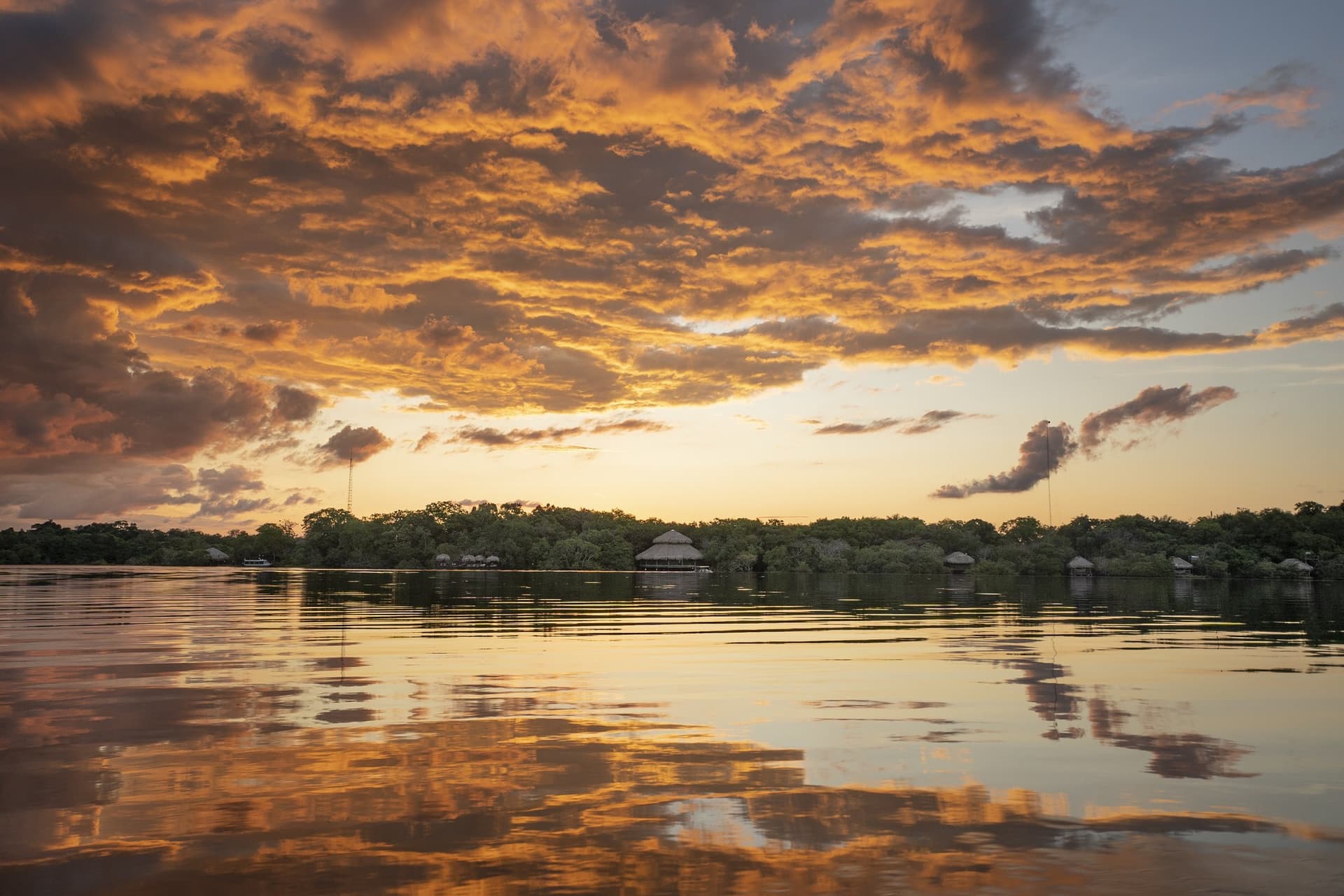 Juma Amazon Jungle Lodge from Manaus Juma Amazon Jungle Lodge from Manaus