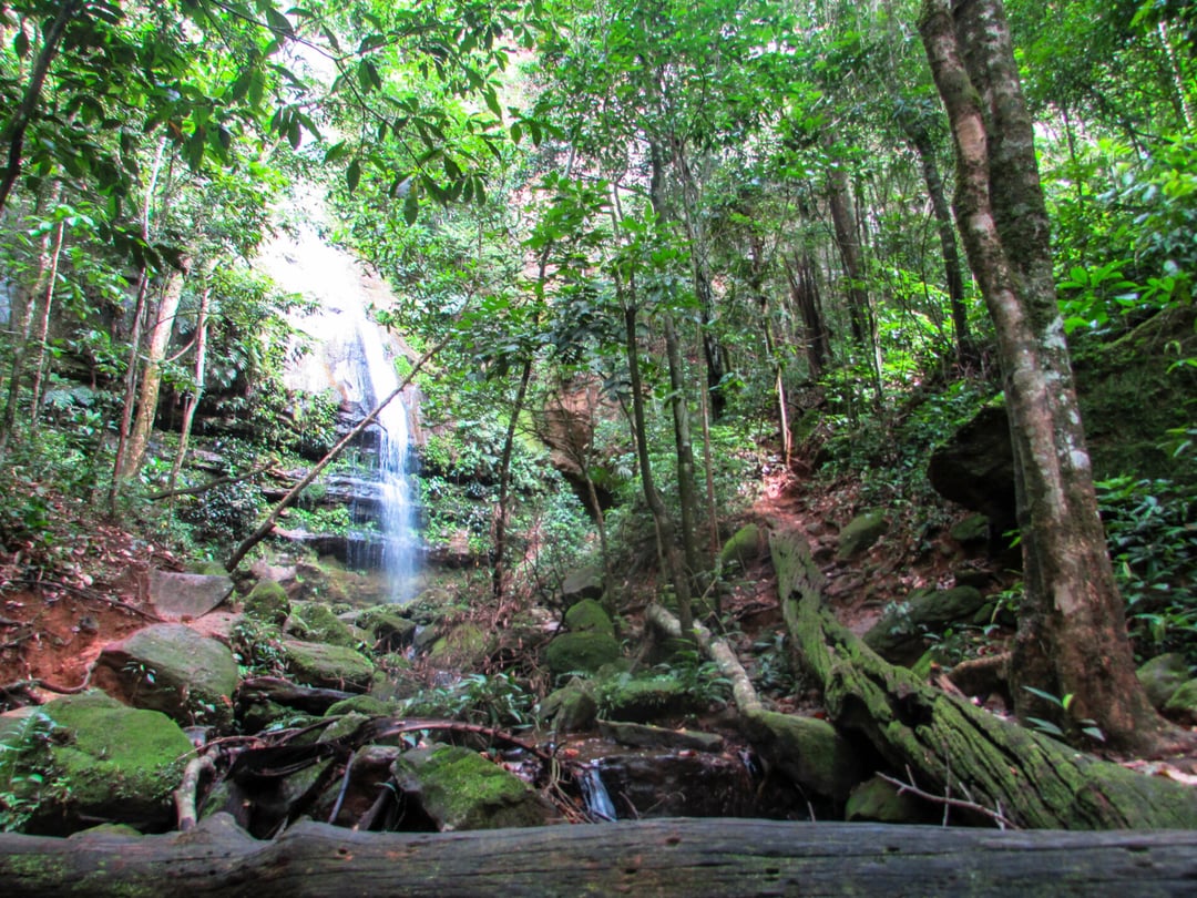 jalapão state park tours jalapão state park tours