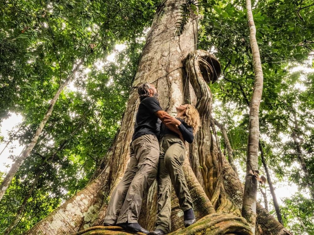 Amazon - Top 7 Ecotourism Destinations in Brazil to Visit in 2024 Amazon - Top 7 Ecotourism Destinations in Brazil to Visit in 2024
