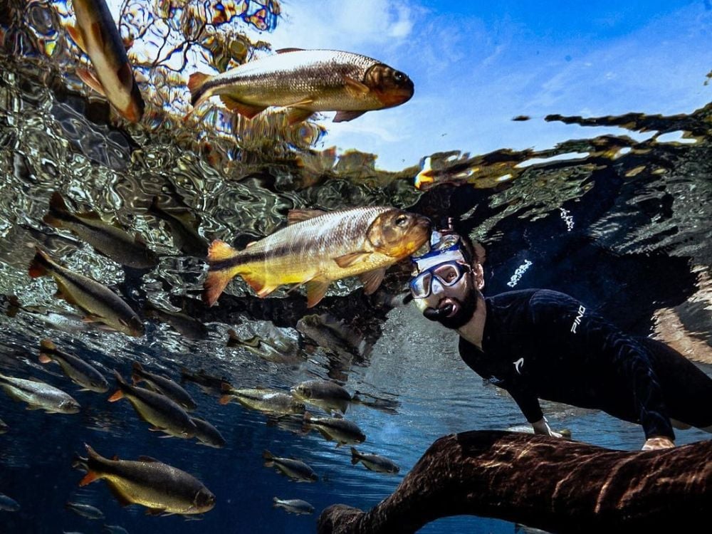 Bonito - Top 7 Ecotourism Destinations in Brazil to Visit in 2024 Bonito - Top 7 Ecotourism Destinations in Brazil to Visit in 2024