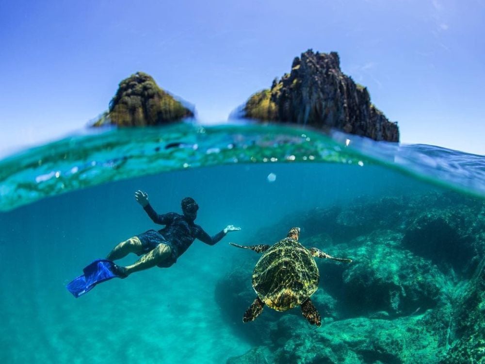 Fernando de Noronha - Top 7 Ecotourism Destinations in Brazil to Visit in 2024 Fernando de Noronha - Top 7 Ecotourism Destinations in Brazil to Visit in 2024