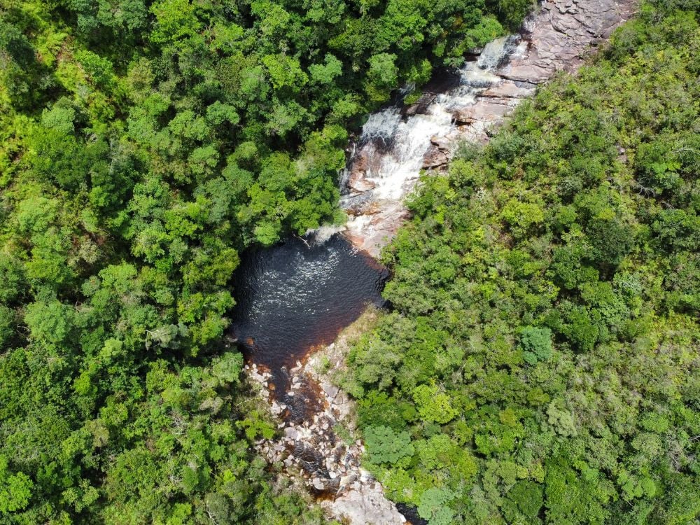 Aerial view of the dark waters of Poço da Árvore, a serene natural pool surrounded by lush green vegetation. Aerial view of the dark waters of Poço da Árvore, a serene natural pool surrounded by lush green vegetation.