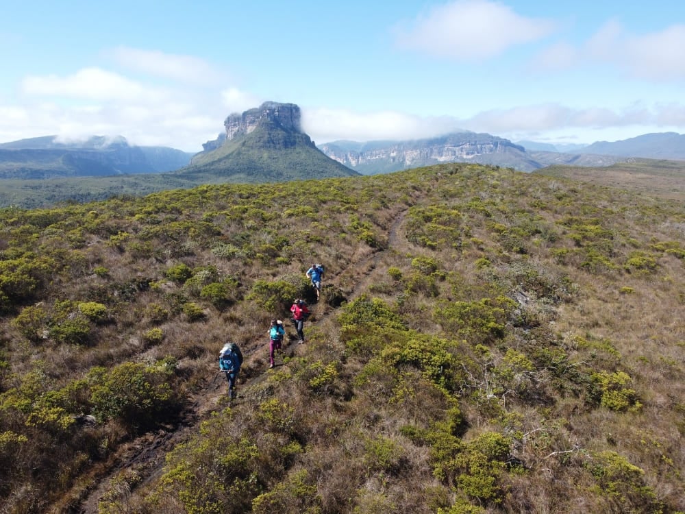 A group of hikers with backpacks walking single file on a mountain trail surrounded by vegetation. A group of hikers with backpacks walking single file on a mountain trail surrounded by vegetation.