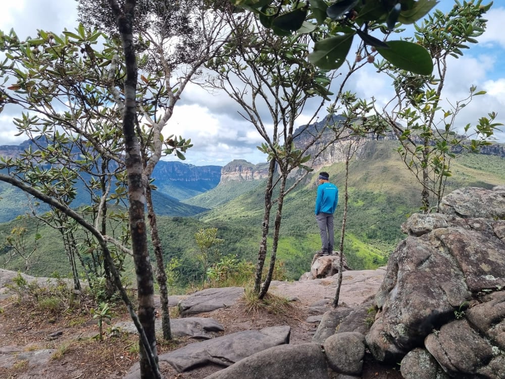 A hiker in a blue jacket standing on a rock framed by trees, looking toward a flat-topped mountain in the distance. A hiker in a blue jacket standing on a rock framed by trees, looking toward a flat-topped mountain in the distance.