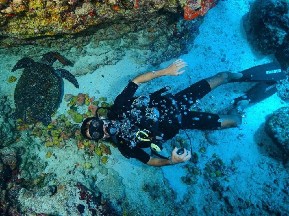 Fernando de Noronha Diving Guide Fernando de Noronha Diving Guide
