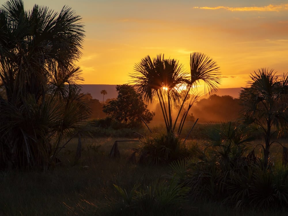 Jalapão - How to visit the Cerrado in Brazil Jalapão - How to visit the Cerrado in Brazil