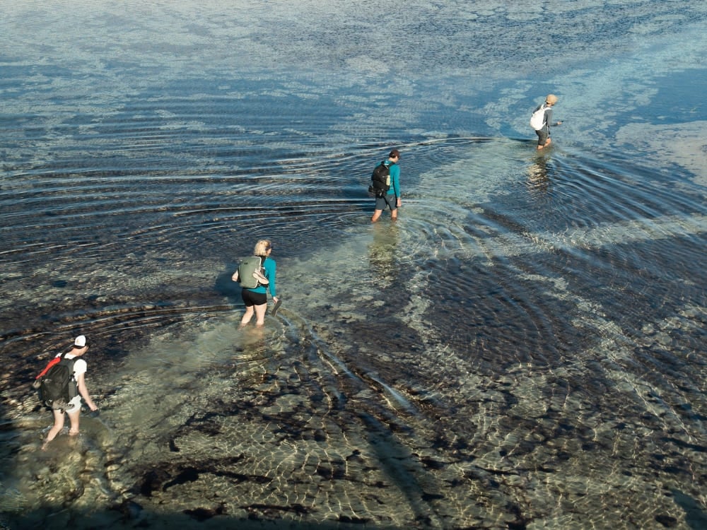 A group of travelers wades through a shallow lagoon while crossing the national park on foot. A group of travelers wades through a shallow lagoon while crossing the national park on foot.