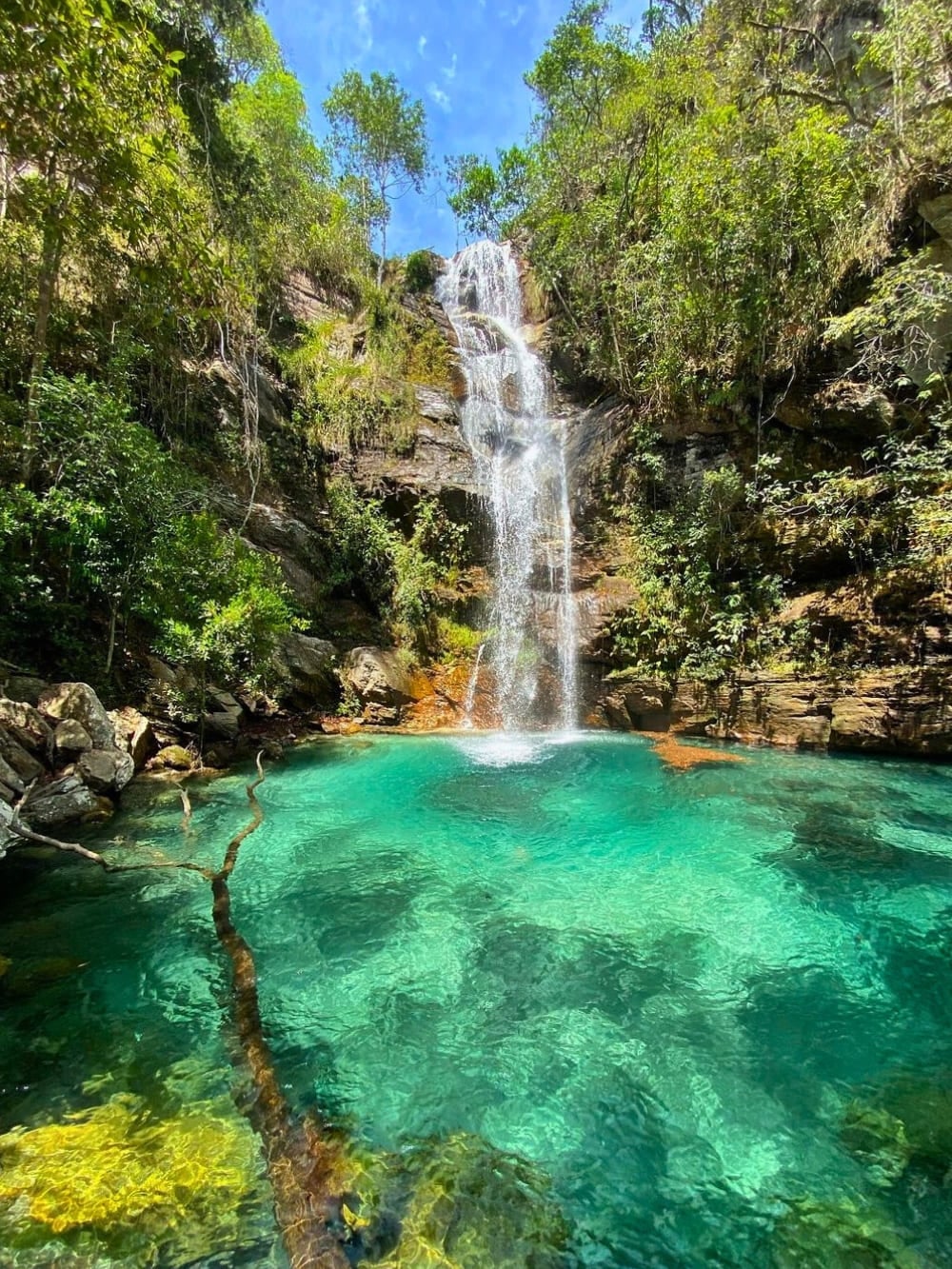 Cerrado in Brazil - Chapada dos Veadeiros Cerrado in Brazil - Chapada dos Veadeiros