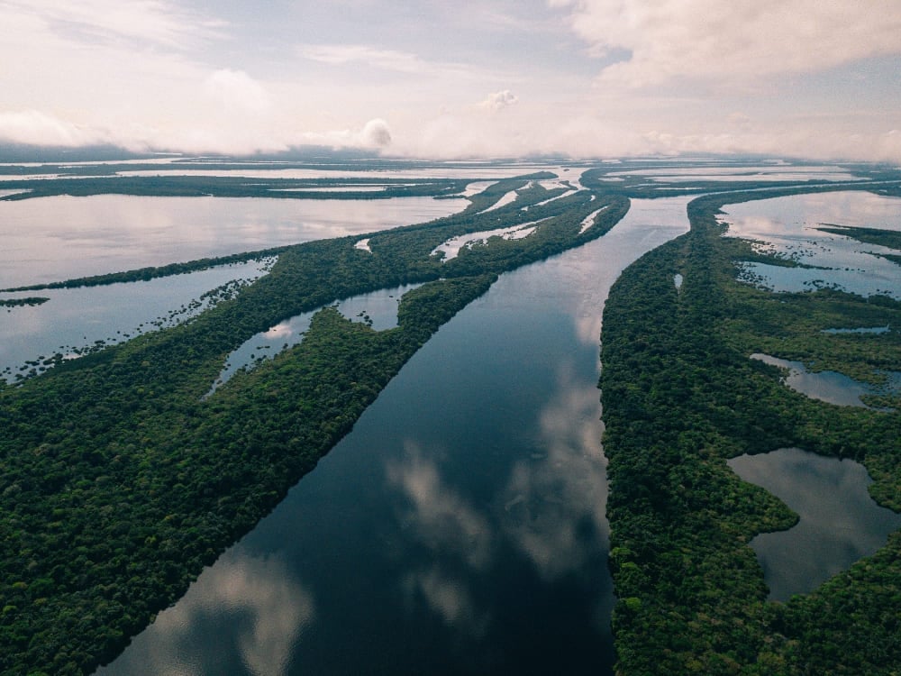 8 conservation projects in the Amazon to support in 2025 (4) (1) 8 conservation projects in the Amazon to support in 2025 (4) (1)