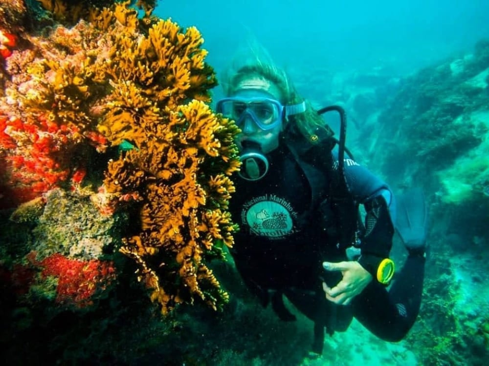 Abrolhos Archipelago in Brazil Abrolhos Archipelago in Brazil