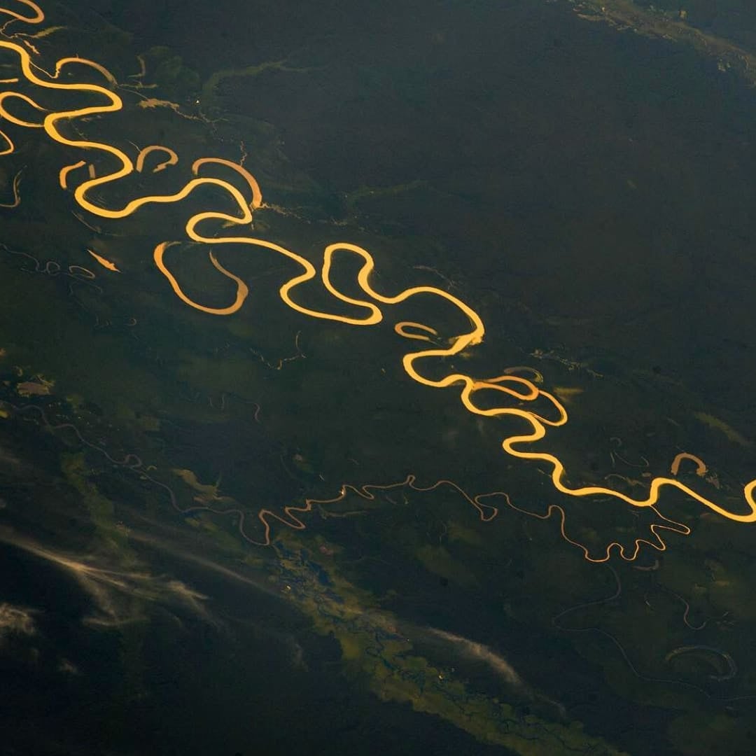 The winding Amazon River reflecting the golden sunset light as it flows through the dark green rainforest. The winding Amazon River reflecting the golden sunset light as it flows through the dark green rainforest.